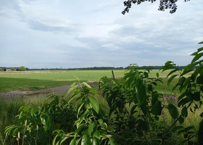 Thoefijzer Luxere Blokhutten 5 Pers En Mini Camping